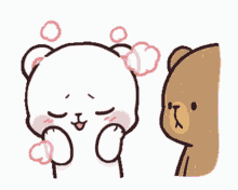 milk and mocha bears cute couple cartoon