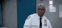 Captain Ray Holt Good Times GIF - Captain Ray Holt Good Times Have Fun GIFs