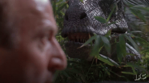 clever girl you are