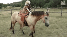 Dog Riding Horse Horseback Riding GIF - Dog Riding Horse Horseback Riding Going For A Ride GIFs