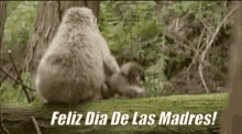 Happy Mothers Day Feliz Dia De Las Madres GIF - Happy Mothers Day Feliz Dia De Las Madres Dont Go GIFs