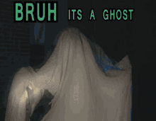 Bruh Its A Ghost GIF - Bruh Its A Ghost Ghost Bruh GIFs
