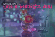 have a beautiful day wishes nice day kulfy hindi have a beautiful day wishes nice day kulfy hindi
