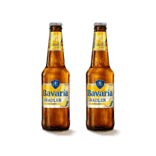 bavaria brewers