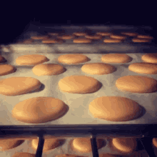 pastry cakes cookies dessert