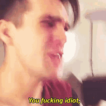 idiot fucking brendon urie insult