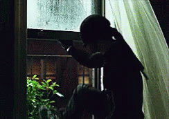 out the window gif