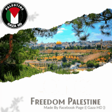 gaza hd palestine freedom ahmed