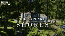 Chesapeake Shores Chessies GIF - Chesapeake Shores Chessies Schearthome GIFs