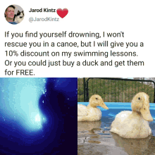 Swimming Lessons GIF - Swimming Lessons Duck GIFs
