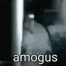 Amogus Among Us GIF - Amogus Among Us Amog GIFs
