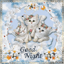 Good Night Cats GIF - Good Night Cats Kittens GIFs