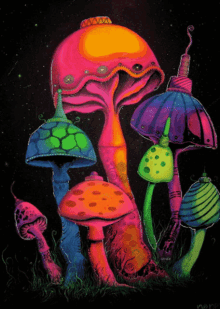 Mushrooms Trippy GIF - Mushrooms Trippy GIFs