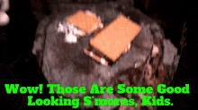 Sml Brooklyn Guy GIF - Sml Brooklyn Guy Wow Those Are Some Good Looking Smores Kids GIFs