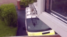 Epic Feats GIF - Cat Cats Leap Of Faith GIFs