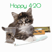 Cat Happy420 GIF - Cat Happy420 Marijuana GIFs