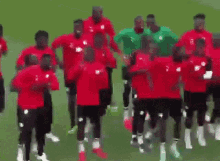 Senegal Football Team GIF - Senegal Football Team Dance GIFs