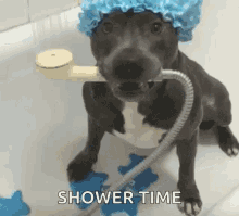 Dog Bath GIF - Dog Bath Pitbul Taking A Shower GIFs