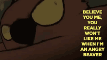 beaver dis beav you wont like me when im angry beaver dis beav you wont like me when im angry
