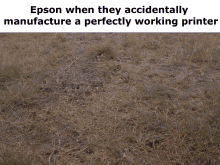 Epson When They GIF - Epson When They Accidentally GIFs