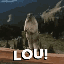 Lou Hi Lou GIF - Lou Hi Lou Lou Gopher GIFs