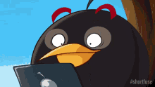 Angry Birds Bomb GIF - Angry Birds Angry Bomb GIFs