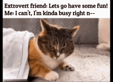 extrovert