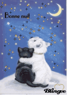 Ospiti Bonne-nuit-goodnight