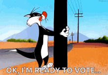 Election Day GIF - Election Day Voting GIFs