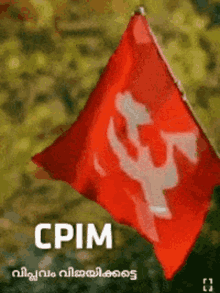Cpm Kammi GIF - Cpm Kammi Mm GIFs