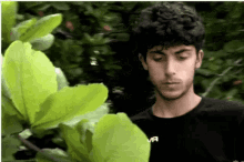 alessandro iannoni isola dei famosi alessandro iannoni gif alessandro iannoni alessandro iannoni isola dei famosi alessandro iannoni gif alessandro iannoni