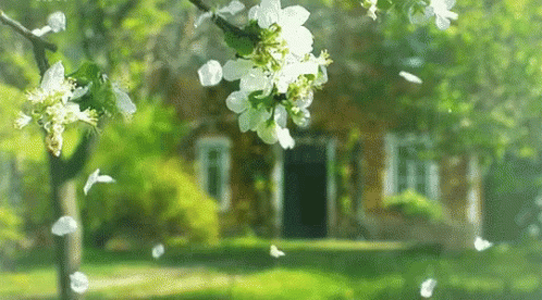 Spring GIF - Spring - Discover &amp;amp; Share GIFs