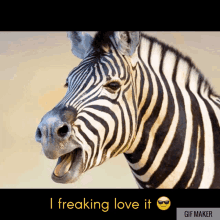 Zebra Keanu GIF - Zebra Keanu GIFs