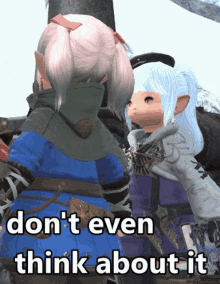Lala Lalafell GIF - Lala Lalafell Dont Ever Think About It GIFs