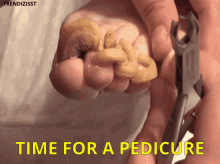 Pedicure Nails GIF - Pedicure Nails Disgusting GIFs