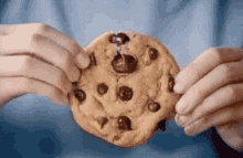 Cookie Chocolate Cookie GIF - Cookie Chocolate Cookie Yummy GIFs