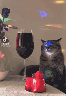 Sad Cat Sad Cat Drinking Wine Disco GIF - Sad Cat Sad Cat Drinking Wine Disco GIFs