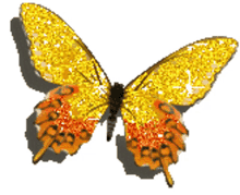 butterfly glittery
