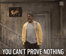 You Cant Prove Nothing You Cant Prove It GIF - You Cant Prove Nothing You Cant Prove It No Evidence GIFs