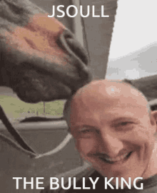 bully jsoull
