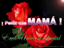 Feliz Día De La Mama GIF - Feliz Dia Mama Dia De Las Madres 10de Mayo GIFs