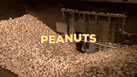 Peanuts Factory GIF - Peanuts Peanut Factory GIFs
