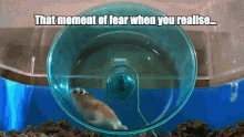 Too Fast GIF - Too Fast Hamster GIFs