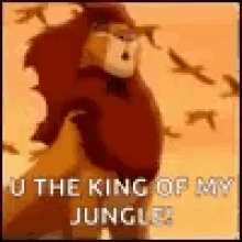 Lion King U The King Of The Jungle GIF - Lion King U The King Of The Jungle GIFs