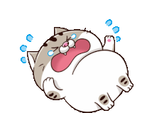 Ami Fat Cat Sticker - Ami Fat Cat Cry Stickers