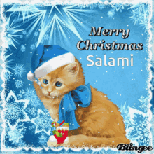 merry christmas salami cat
