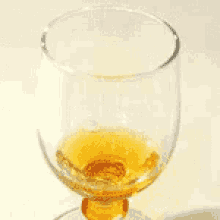 pastis pastis