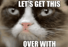 Let'S Get This Over With GIF - Grumpy Cat Cat Lets Get This Over With GIFs