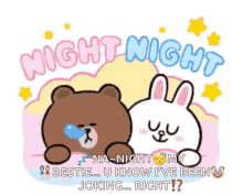 Night Brown And Cony GIF - Night Brown And Cony Sleep GIFs