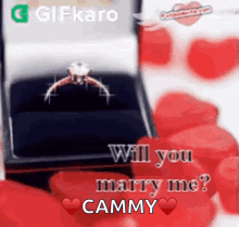 Will You GIF - Will You Marry GIFs